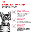 Royal Canin Kitten Sterilised Корм сухой сбалансированный для стерилизованных котят до 12 месяцев, 0,4 кг